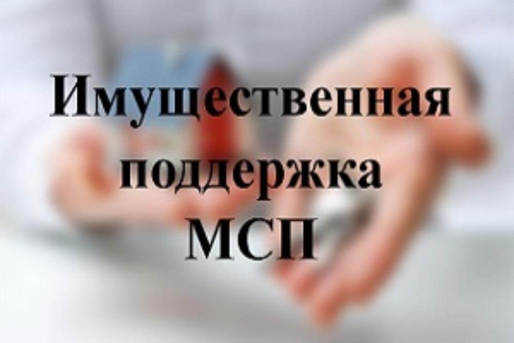 Имущественная поддержка субъектов малого и среднего предпринимательства.