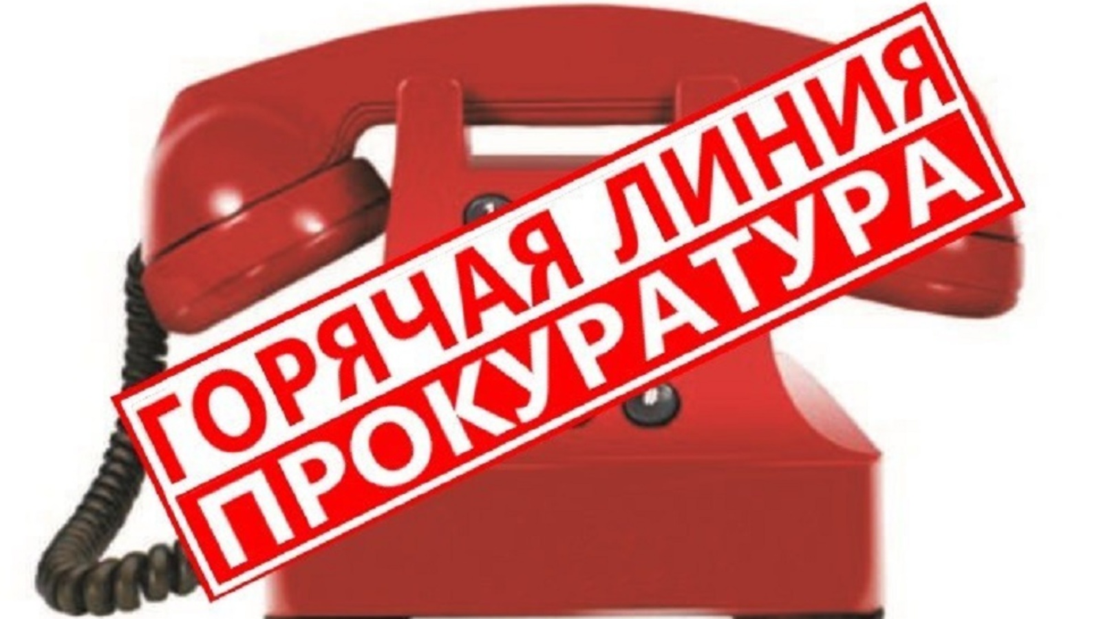 Горячая линия Шуйской межрайонной прокуратуры по вопросу уборки и вывоза мусора.